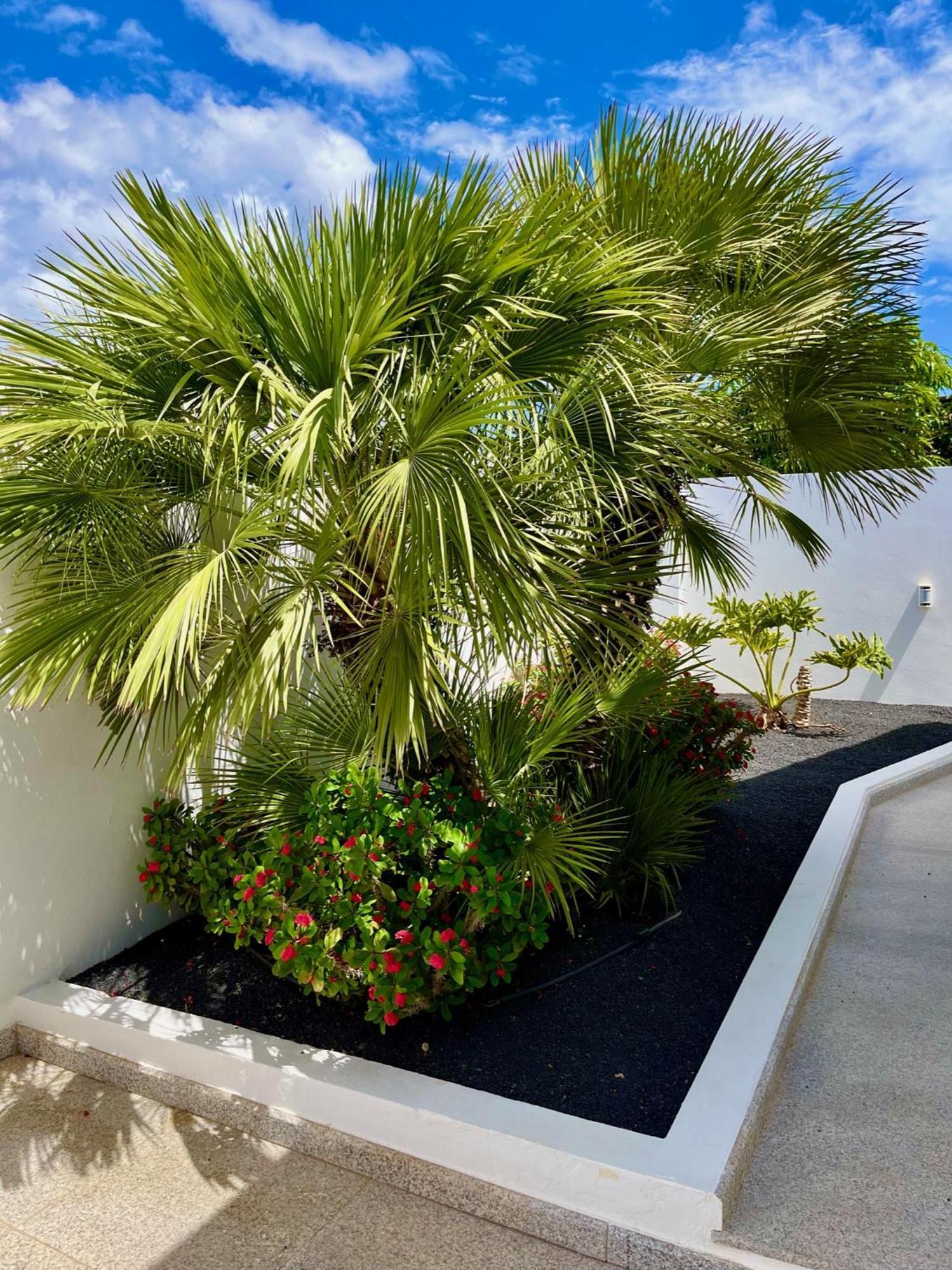 Villa Del Mar Lanzarote - Luxury Beachhouse Arrecife  Exterior foto